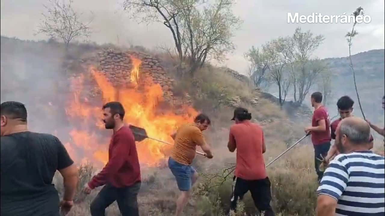 Из-за грузовика со свиньями в комунидаде Валенсия случился серьезный лесной пожар