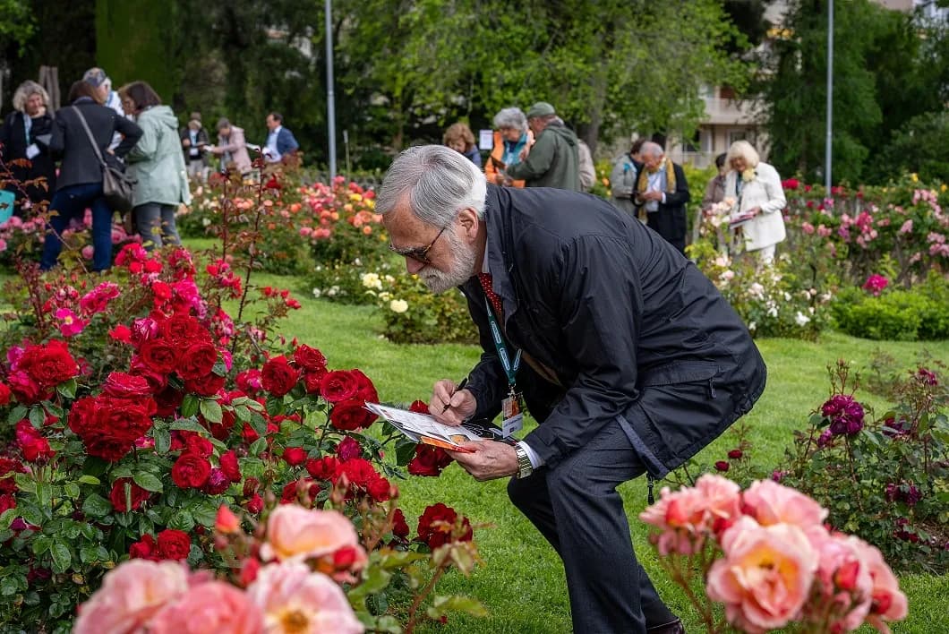 Парк Сервантеса в Барселоне